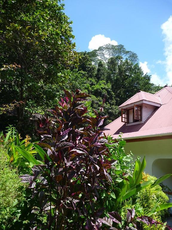 Liane De Mai Bed & Breakfast ลาดิก ภายนอก รูปภาพ