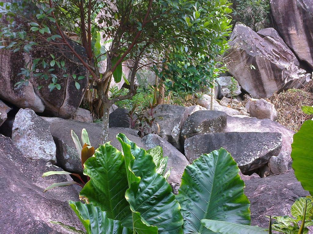 Liane De Mai Bed & Breakfast ลาดิก ภายนอก รูปภาพ