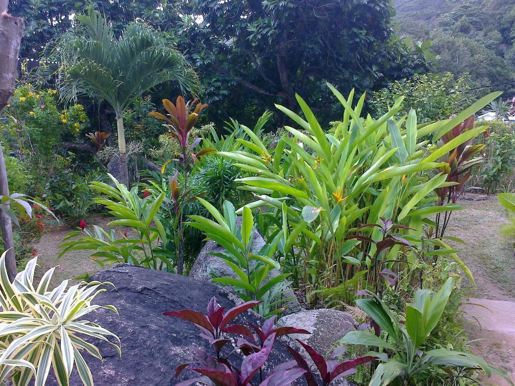 Liane De Mai Bed & Breakfast ลาดิก ภายนอก รูปภาพ
